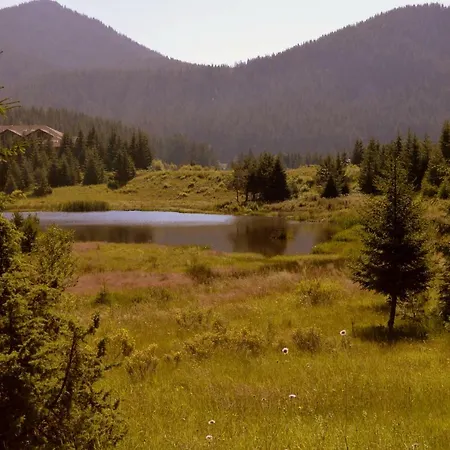 Northstar In Mountain *