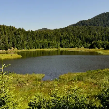 Daire Northstar In Mountain *